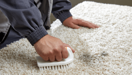 Professional Rug Cleaning Kensington